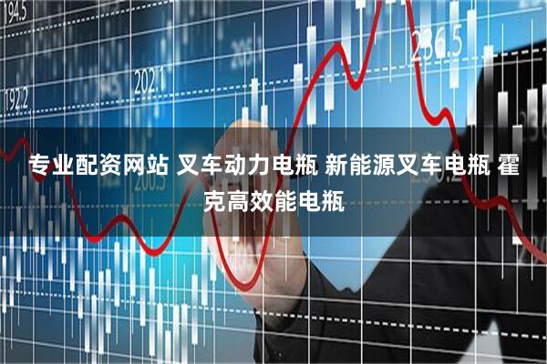 专业配资网站 叉车动力电瓶 新能源叉车电瓶 霍克高效能电瓶