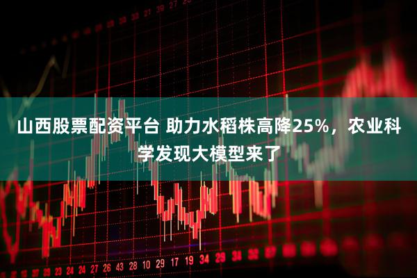 山西股票配资平台 助力水稻株高降25%，农业科学发现大模型来了